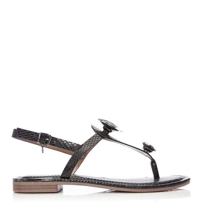 Jewellzi Black Snake Print 1 Jewellzi Black Snake Print