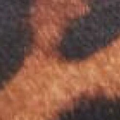 Kinsley W Leopard Leopard Pony 10 Kinsley W Leopard Leopard Pony -Gabor Sales Store kinsley w leopard leopard pony p12159 77847 medium