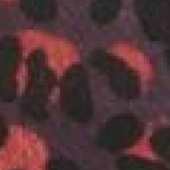 Sophia Bag Burgundy - Leopard Patent Mocc Croc 13 Sophia Bag Burgundy - Leopard Patent Mocc Croc -Gabor Sales Store sophia bag burgundy leopard patent mocc croc p11835 77867 medium