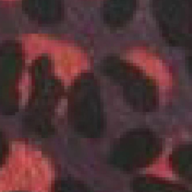 Sophia Bag Burgundy - Leopard Patent Mocc Croc 7 Sophia Bag Burgundy - Leopard Patent Mocc Croc - Image 7